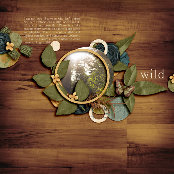 2011-08-Home-web