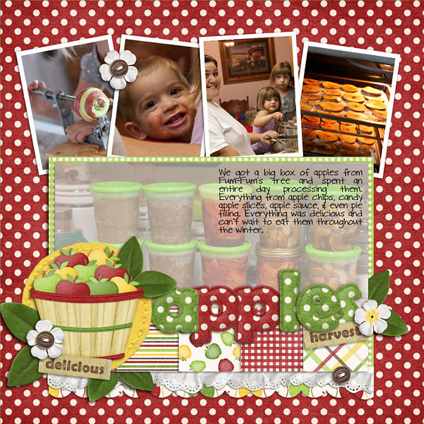 2011-11-HR_bushel-apples-co