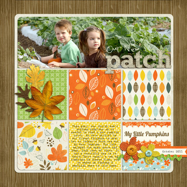 2011-bednerspumkinpatchWEB