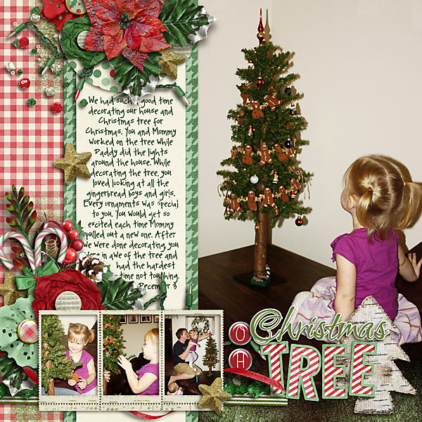 2011_12_03-Decorating-the-House-copy