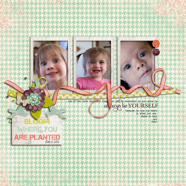 2012-02-mmtrBloom