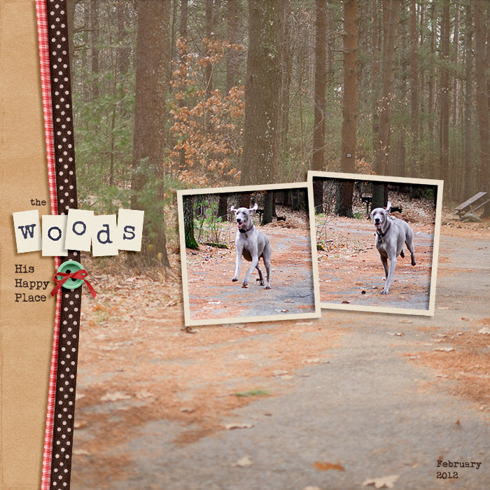 2012-02-theWoods700
