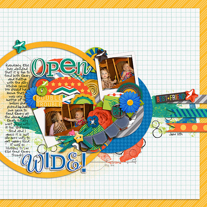 2012_06_11-Open-Wide-copy