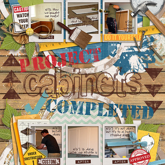 2012_06_27-Project-Cabinets-Completed