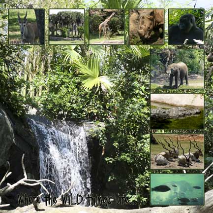 2012_06_animal_kingdom_01