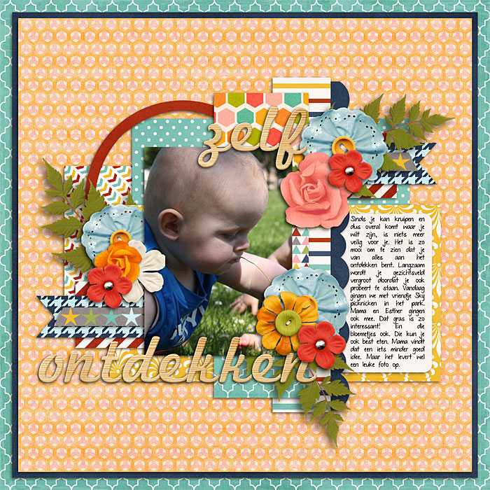 2013-07-08---Zelf-ontdeweb