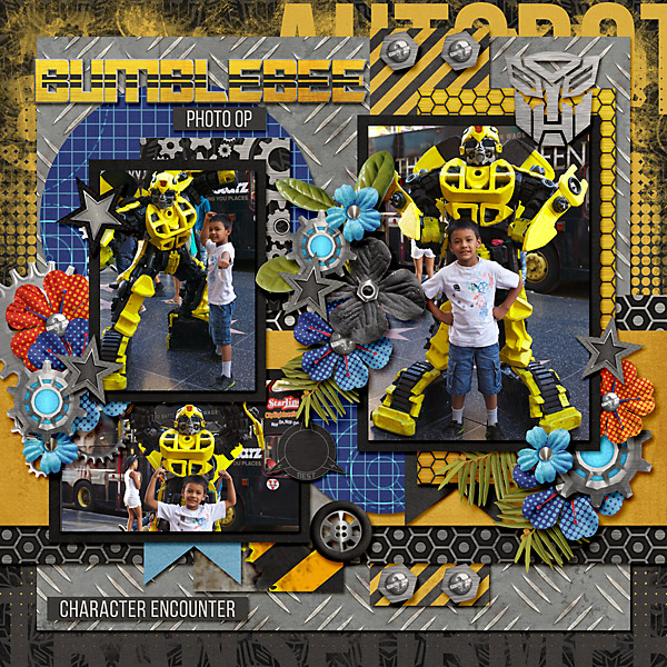 2013-07-27-bumblebeephotoop_sm