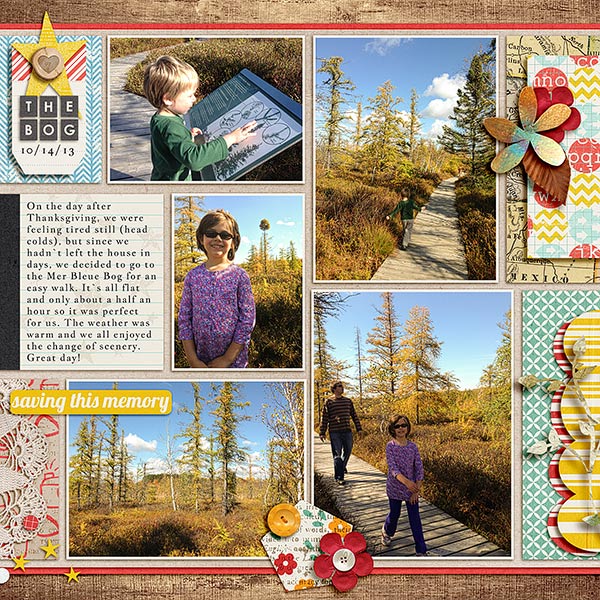 2013-10-14-Bog-web