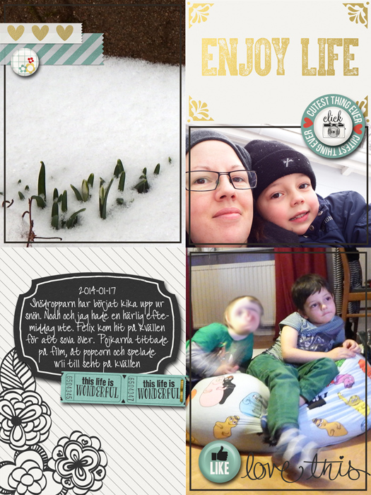 2014-01-17-web