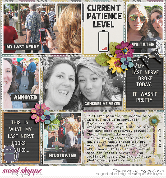2014-04_ez-LastNerve_wp-PageProtectors12_babe