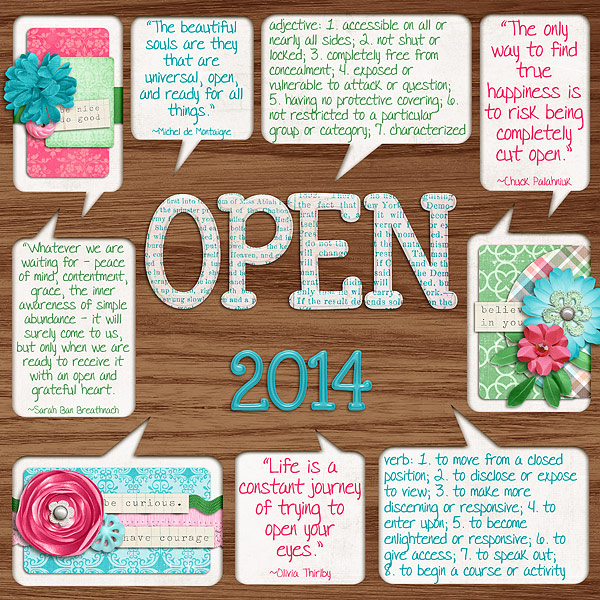 2014-olw-open-200