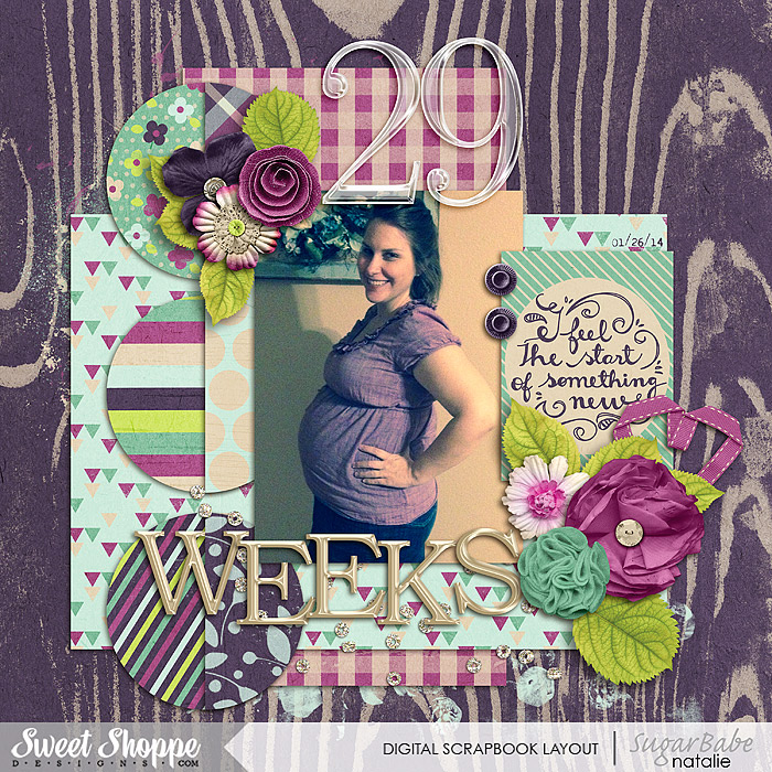 2014_01_26-29-Weeks-Watermark