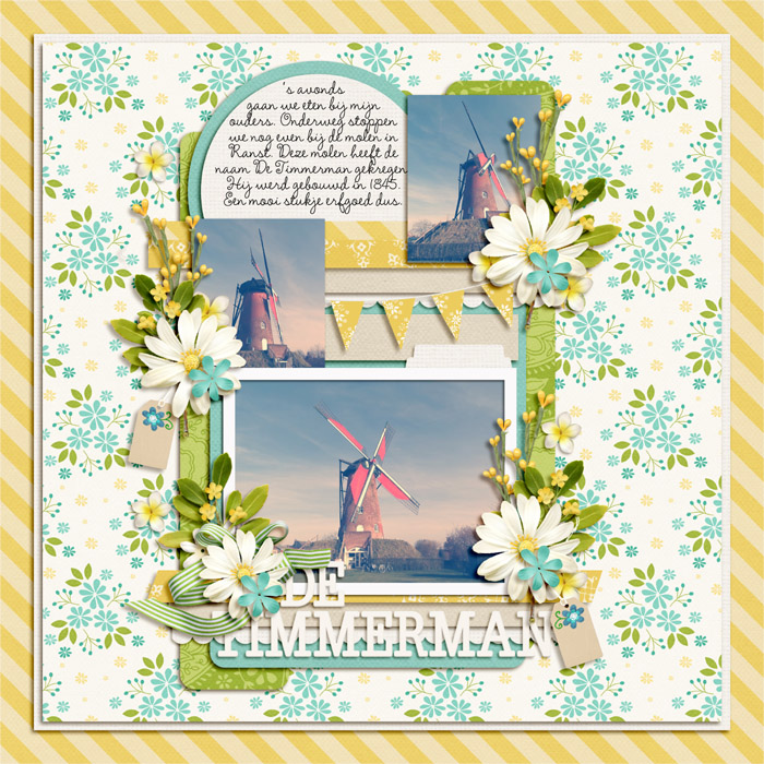 2015-017web