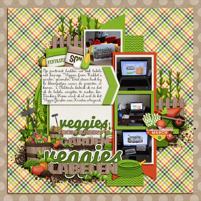 2015-019web