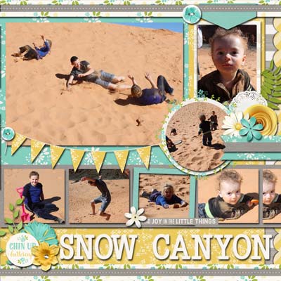 2015-snow
