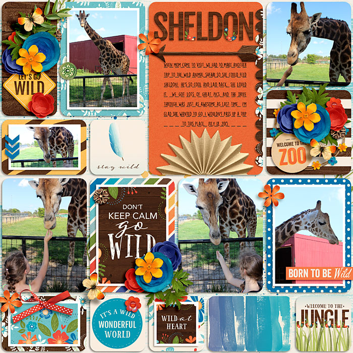 20150718sheldon700