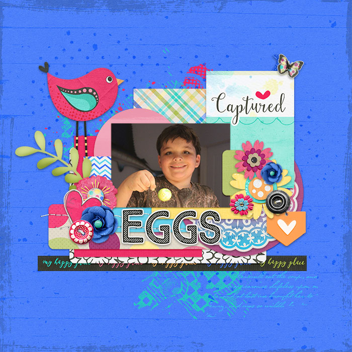 2015_19_eggs