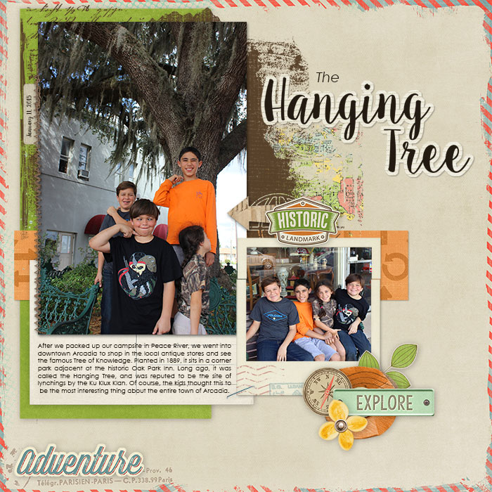 2015_4_tree
