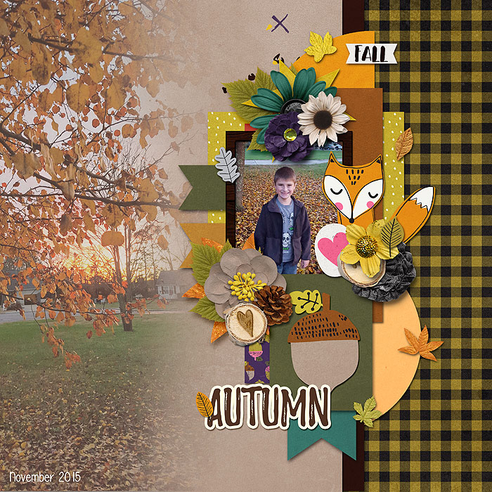 2015_NOV_Autumn_WEB