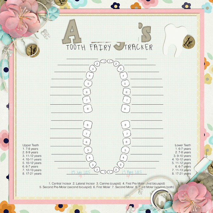 2015_Tooth_Chart_web2_-_Carissa