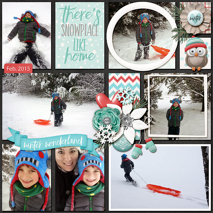 2015_snow_day_3