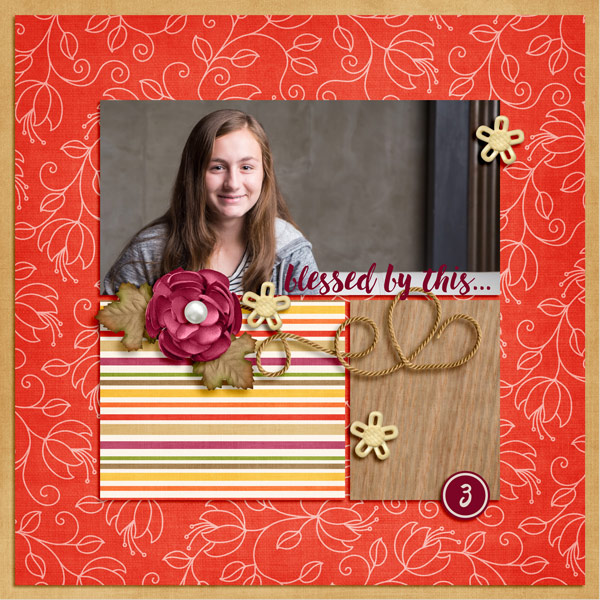 2015gratitude_day3_web