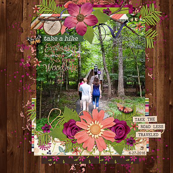 2016_0627-AWalkInWoodlake-w