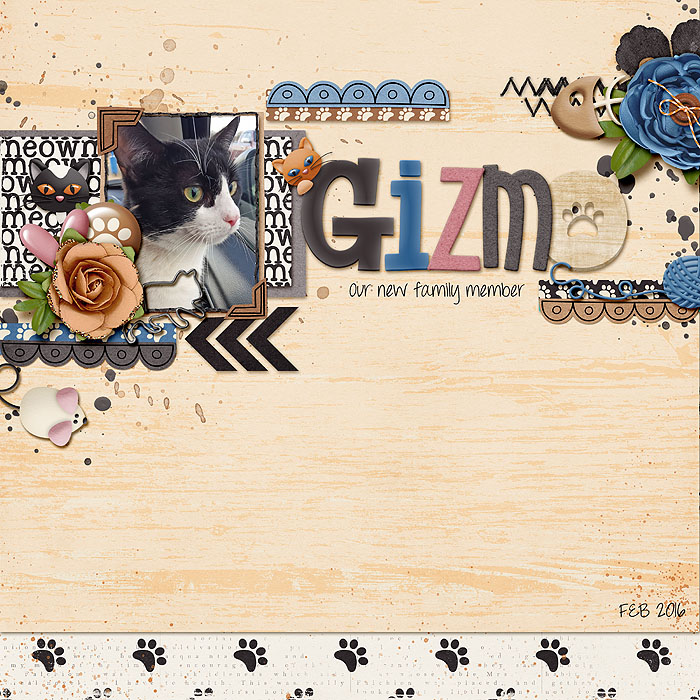 2016_gizmo
