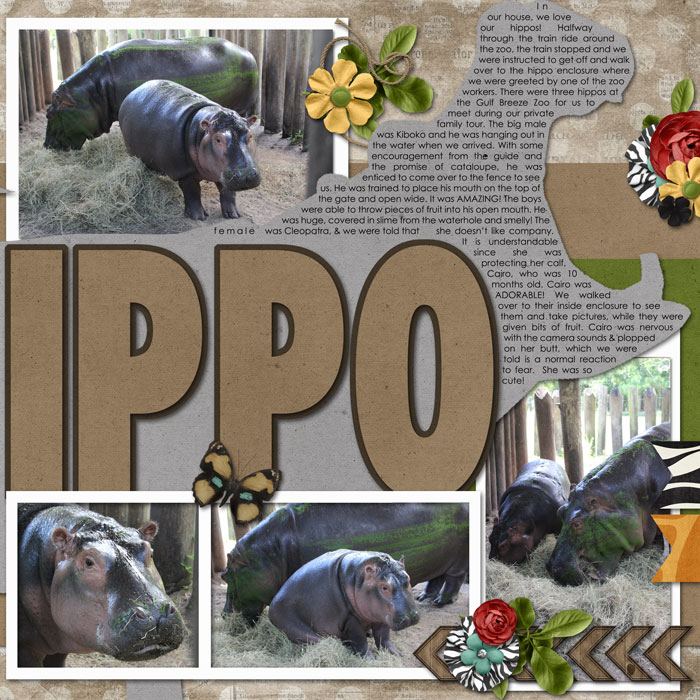 2016_hippos1_web