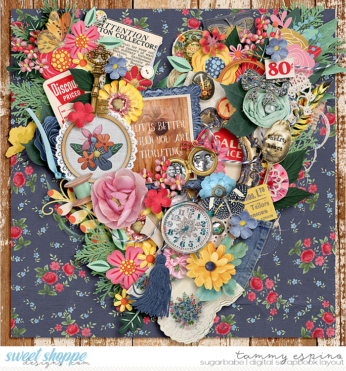 2017-04_ssd-TheThriftLife_babe