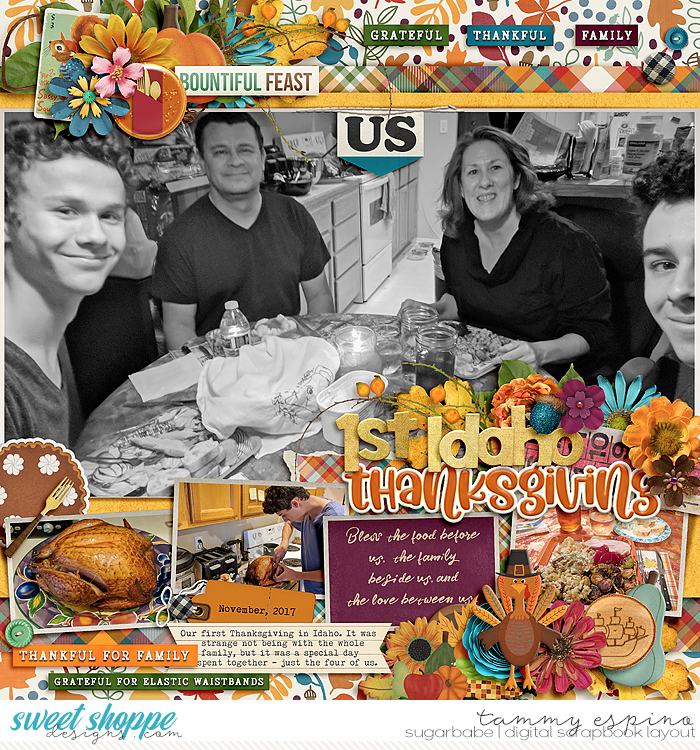 2017-11_cmg-SeasonOfGratitude_fdd-Picturesque_Perfection_babe
