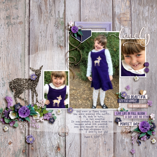 2017_06_11_Purple_Deer_Dress_SM