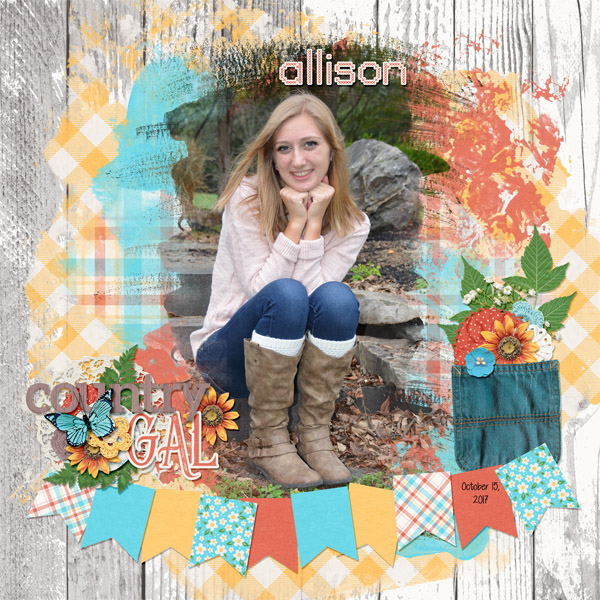 2017_oct_15_allison_1_mcreation_countryside