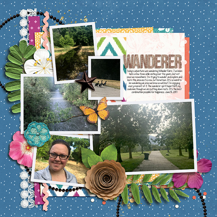 2017june--wanderer