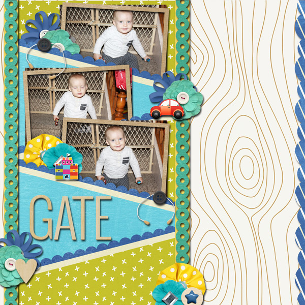2018-01-24-gate_edited-1