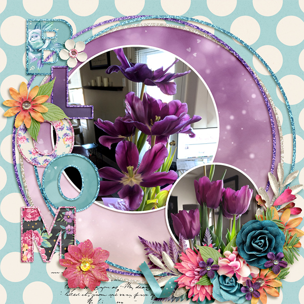 2018-04_mfish-SpringyWords_kcb-fl-ScrapYourStoriesLove_web