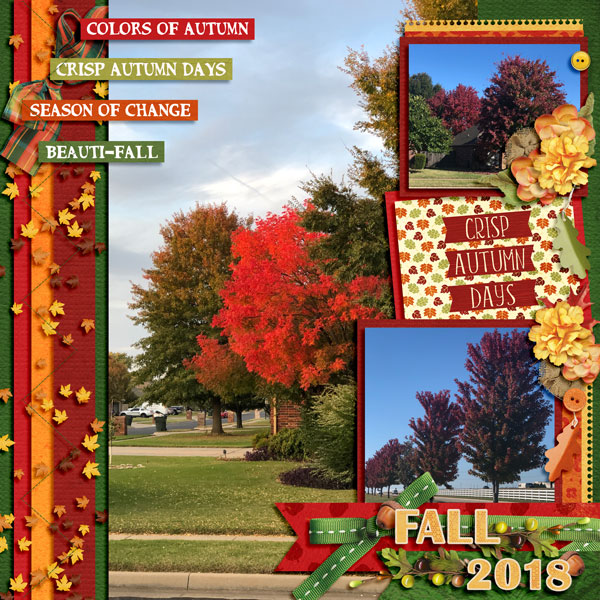 2018-Fall---MFish_B_L6_03