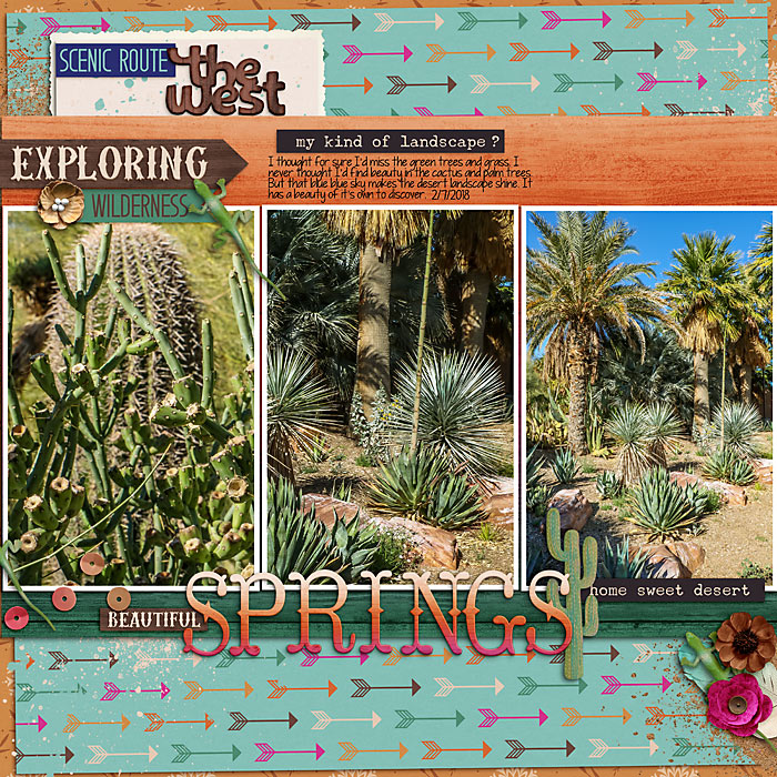 2018-Springs-Cactus-700