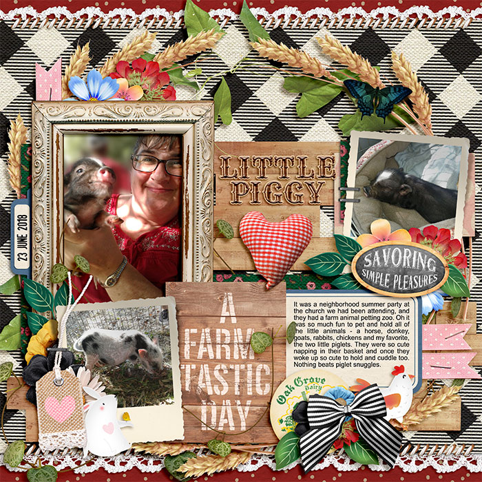 2018_0623_Melinda-LittlePiggy-w-700px