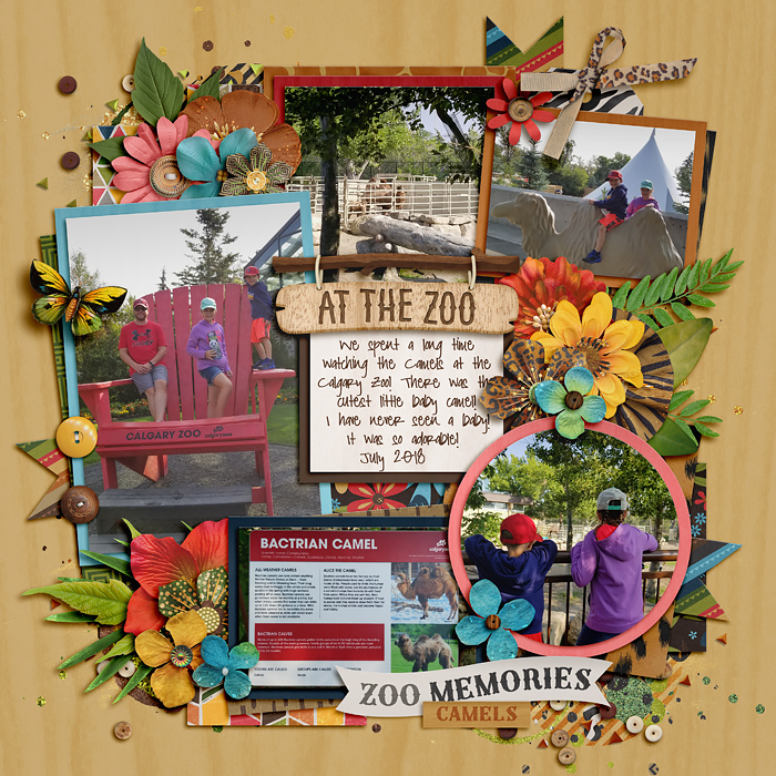 2018_7_At_the_Zoo700