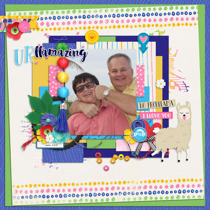 2018_June_Llamazing