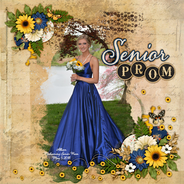2018_may_allie_prom_kcb_country_sunshine