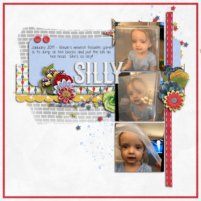 2019-01_Silly