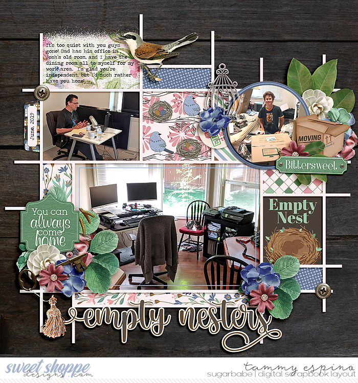 2019-06_jcd-EmptyNester_cs-HP395_babe