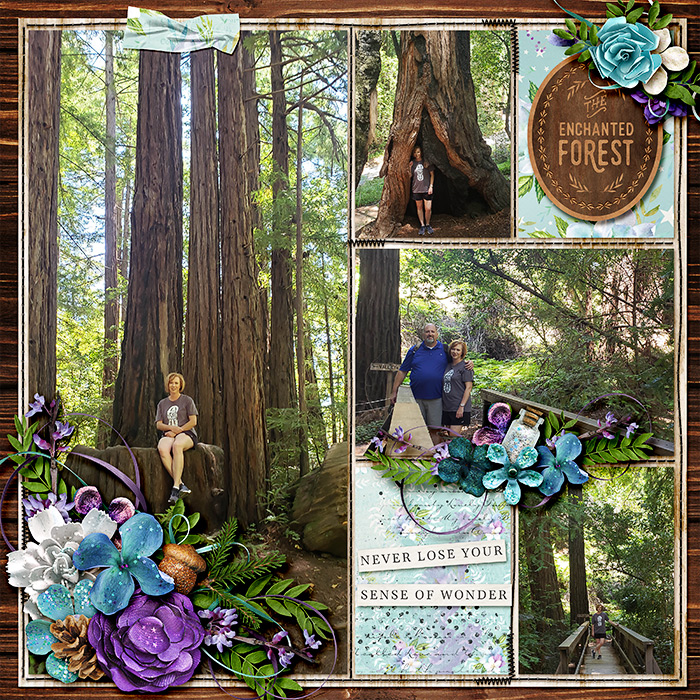 2019-07-26-Pfeiffer-Big-Sur-web