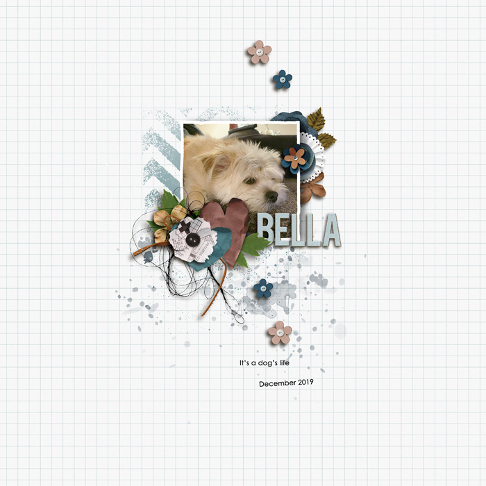 2019-12_Bella