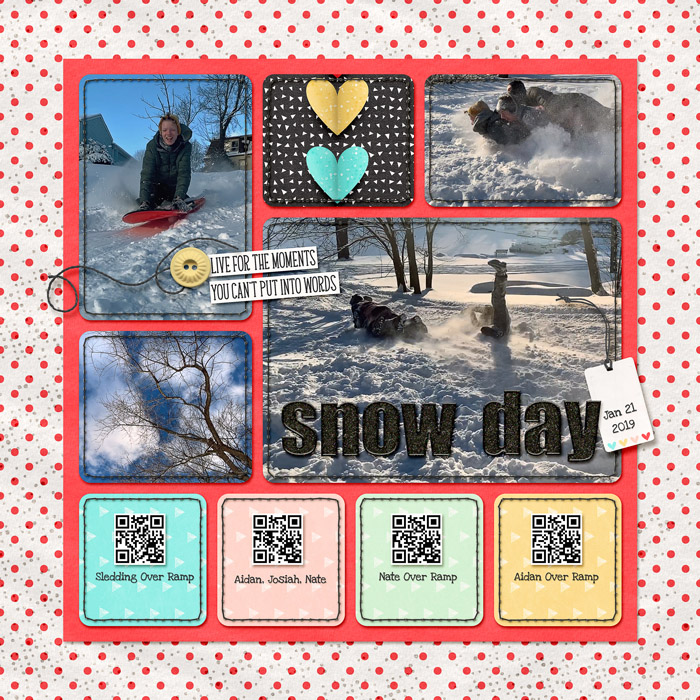 2019-Snow-Day-Sled-L-web_2