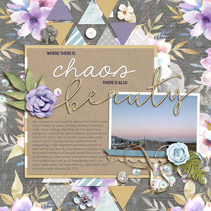 20190130--chaos-and-beauty