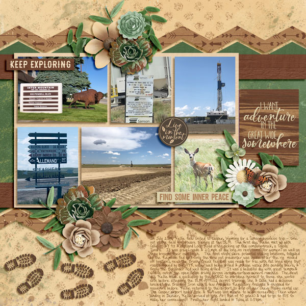 2019_07_08-WY---MFish_Chevron3_02