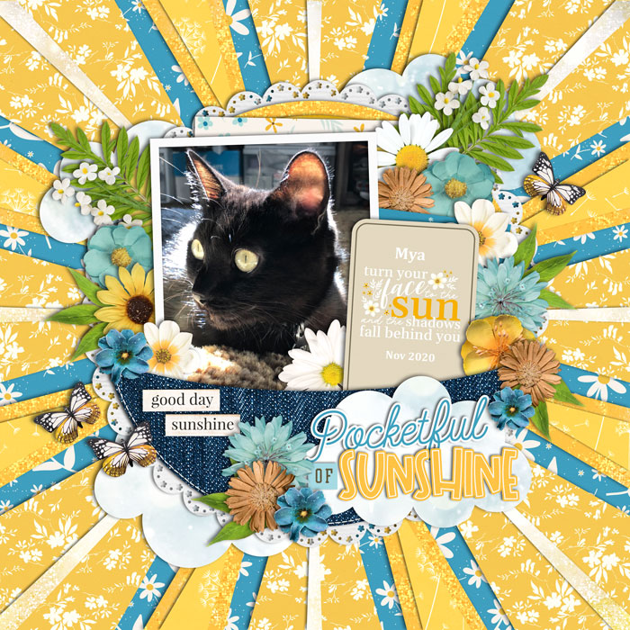 2020-11-PocketfulOfSunshineWeb